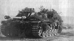 A Finnish Stug III moves up to the front during the summer of 1943.